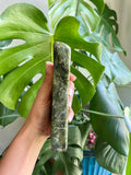 Polished Nephrite Jade