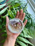 Selenite & Candle