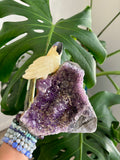 Parrot carving on Amethyst