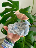 Bird carving on Blue Calcite