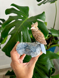 Bird carving on Celestite