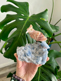 Bird carving on Blue Calcite