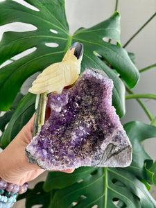 Parrot carving on Amethyst