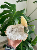 Bird Carving on Quartz Geode