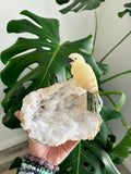 Bird Carving on Quartz Geode