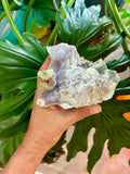 Owl carving on Amethyst flower