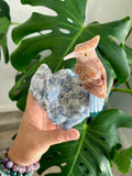 Bird carving on Blue Calcite