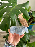 Bird carving on Celestite