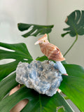 Bird carving on Blue Calcite