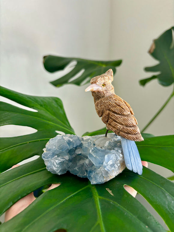 Bird carving on Celestite