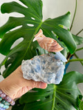 Bird carving on Blue Calcite