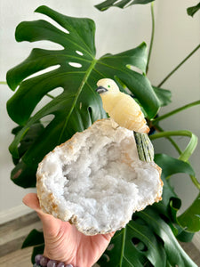 Bird Carving on Quartz Geode