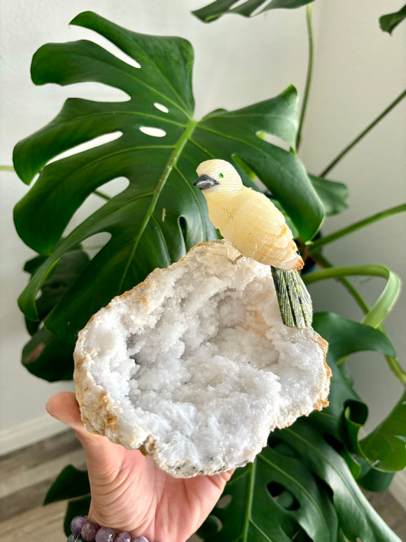 Bird Carving on Quartz Geode