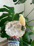 Bird Carving on Quartz Geode