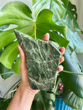 Polished Nephrite Jade