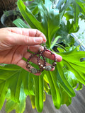 Labradorite - Hematite - Garnet Earrings