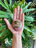 Petrified Wood Palmstone