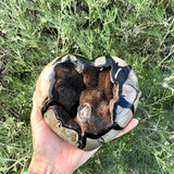 Septarian Heart