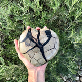 Septarian Heart