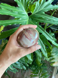 Petrified Wood Palmstone