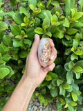 Flower Agate palmstone