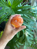 Carnelian Palmstone