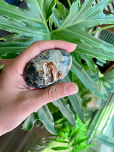 Ocean Jasper Palmstone