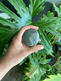 Polychrome Jasper Palmstone