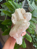 Clear Quartz specimen