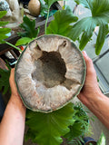 Large Agate Geode Specimen