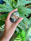 Ocean Jasper Palmstone