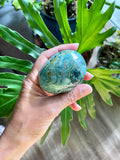 Ocean Jasper Palmstone