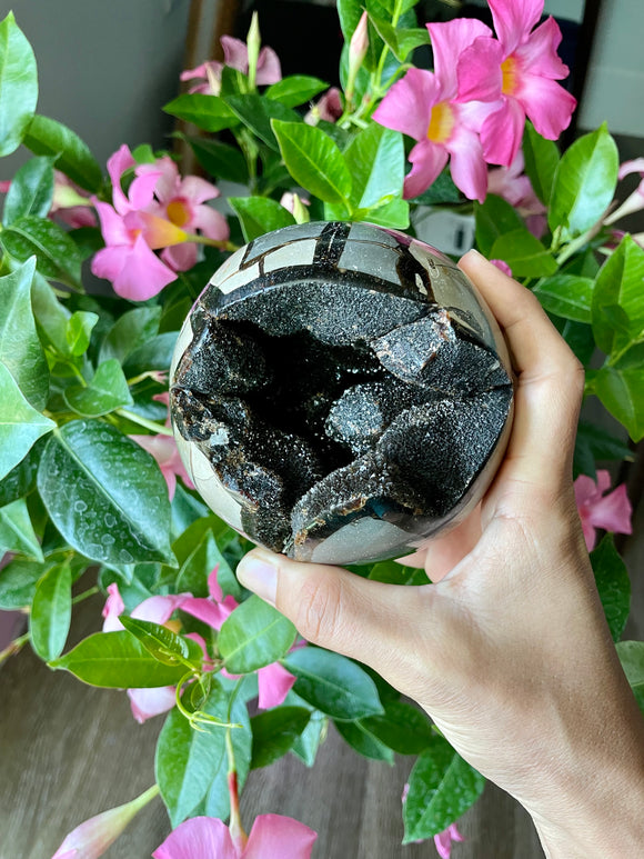 Septarian sphere