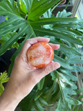 Carnelian Palmstone