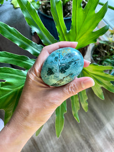 Ocean Jasper Palmstone