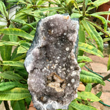 Amethyst Specimen