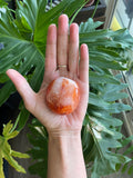 Carnelian Palmstone