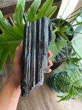 XL Black Tourmaline