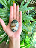 Ocean Jasper Palmstone