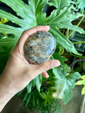 Moonstone Palmstone