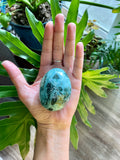 Ocean Jasper Palmstone