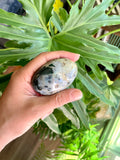 Ocean Jasper Palmstone