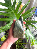 Nephrite Jade Free form