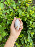 Flower Agate palmstone