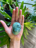 Ocean Jasper Palmstone