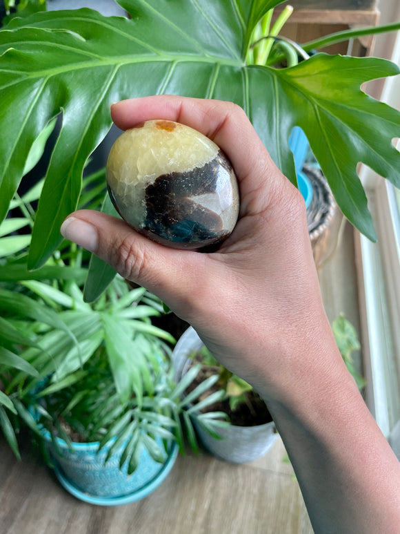 Septarian Palmstone