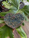 Titanium Quartz Heart