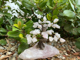 Rose Quartz Tree