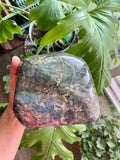 Polished Labradorite cutbase