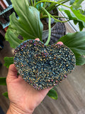 Titanium Quartz Heart